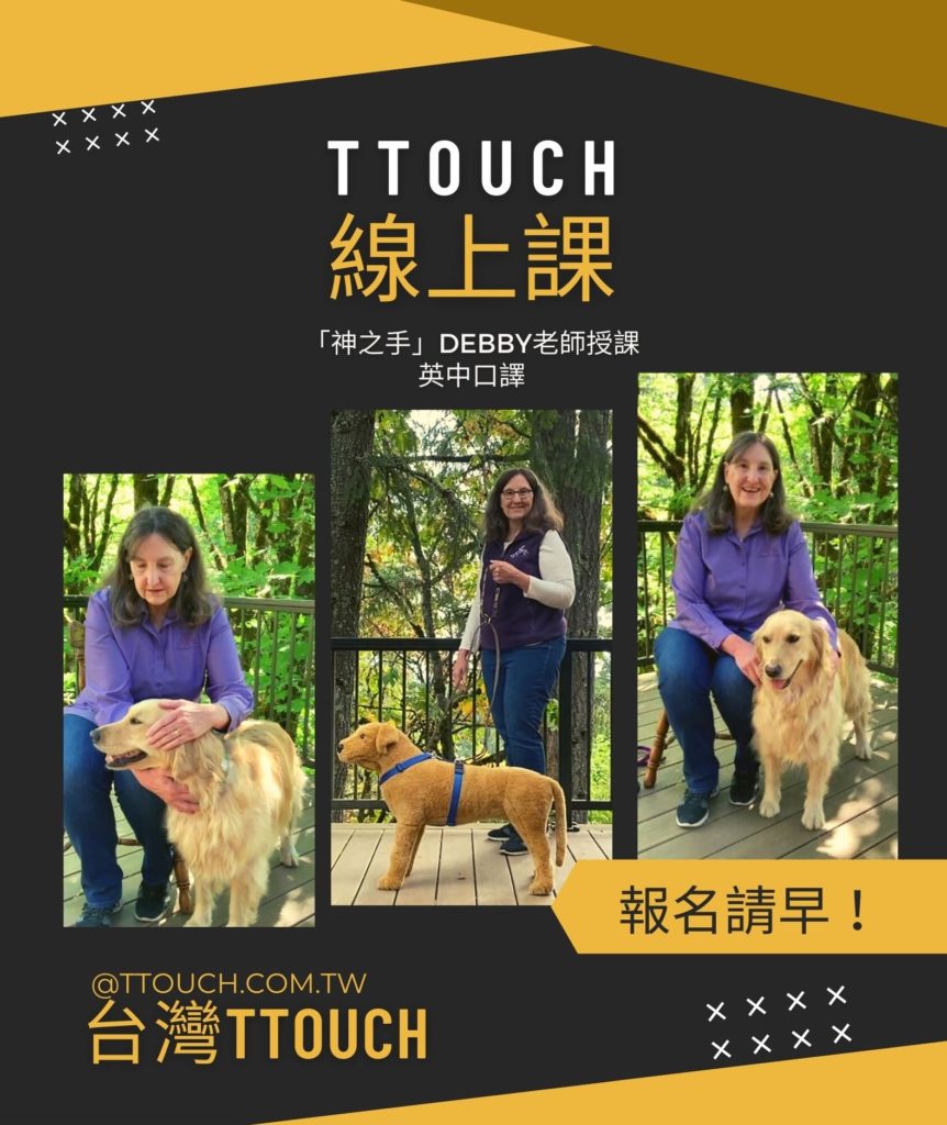 ttouch promo poster